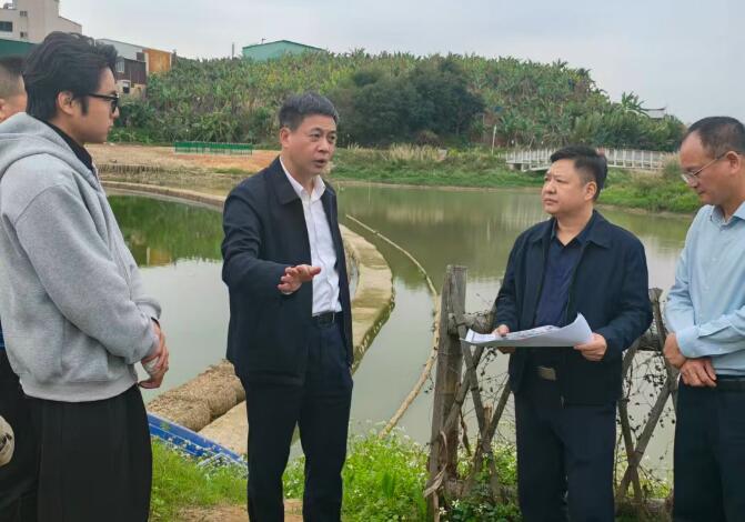 芗城区领导调研九龙江西溪上坂断面水质提升工作