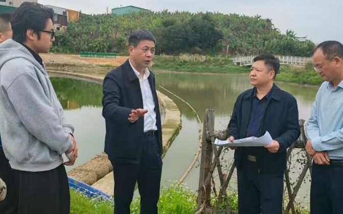 芗城区领导调研九龙江西溪上坂断面水质提升工作
