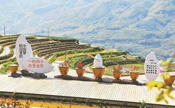 政和县念山云上梯田景区春光如画