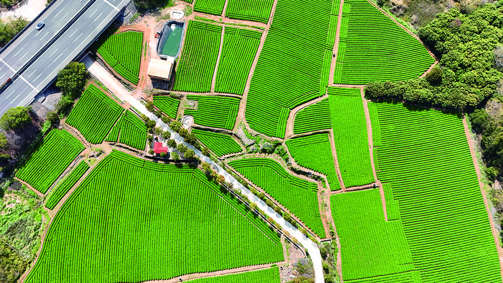 让绿水青山真正成为群众增收致富的“金山银山”