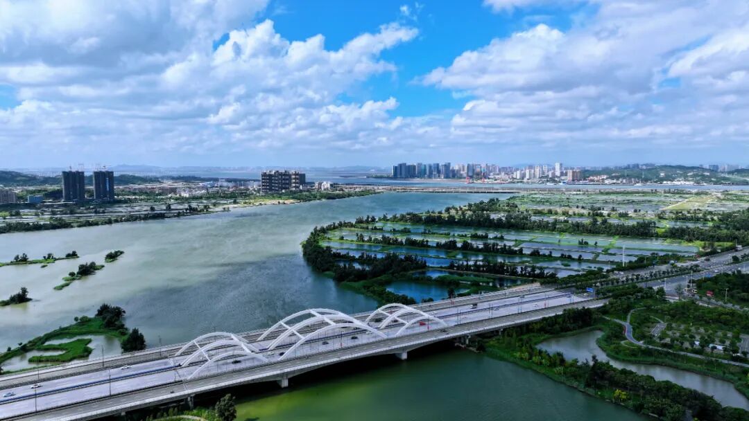 聚势谋远启新程！泉州台商投资区百崎乡“三驾马车”齐驱并进