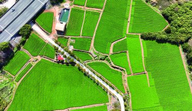 ����ˮ��ɽ������ΪȺ�������¸��ġ���ɽ��ɽ��