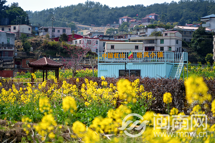 泉州虹山油菜花海开！美爆了！AI剧本游新玩法来啦！