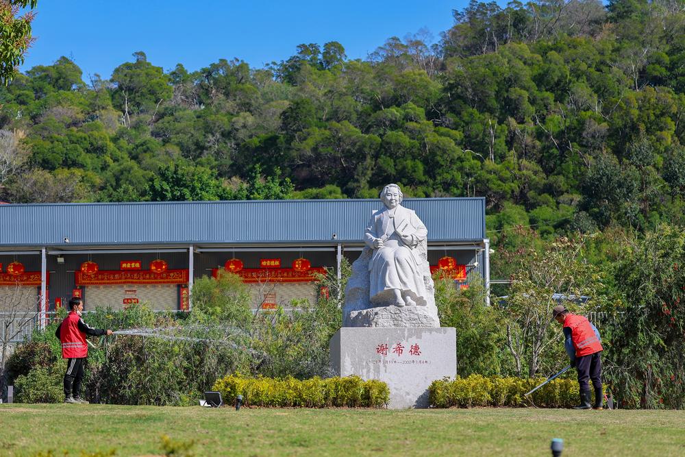 添绿寄思 赓续精神 谢希德先生雕像周边新栽种580株洒边变叶木