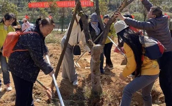 两岸姐妹共植同心林写下心愿：让情谊像大树一样根深叶茂