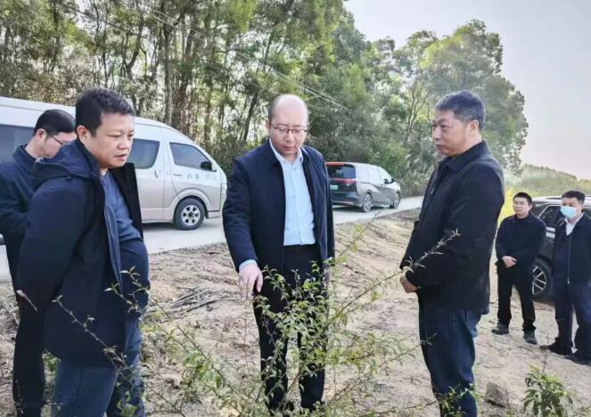 诏安县主要领导督导推进春耕备耕与生态保护工作