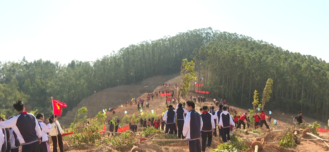 3月12日植树节 泉港这里上演一场火热的“绿意奔赴”