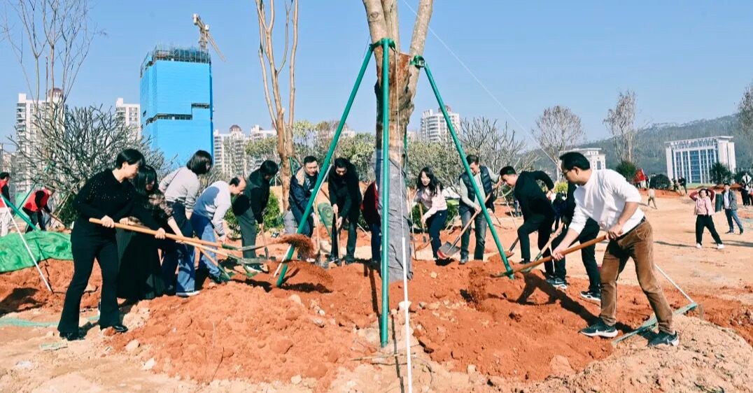 共植新绿，不负春光！南安开展全民义务植树活动