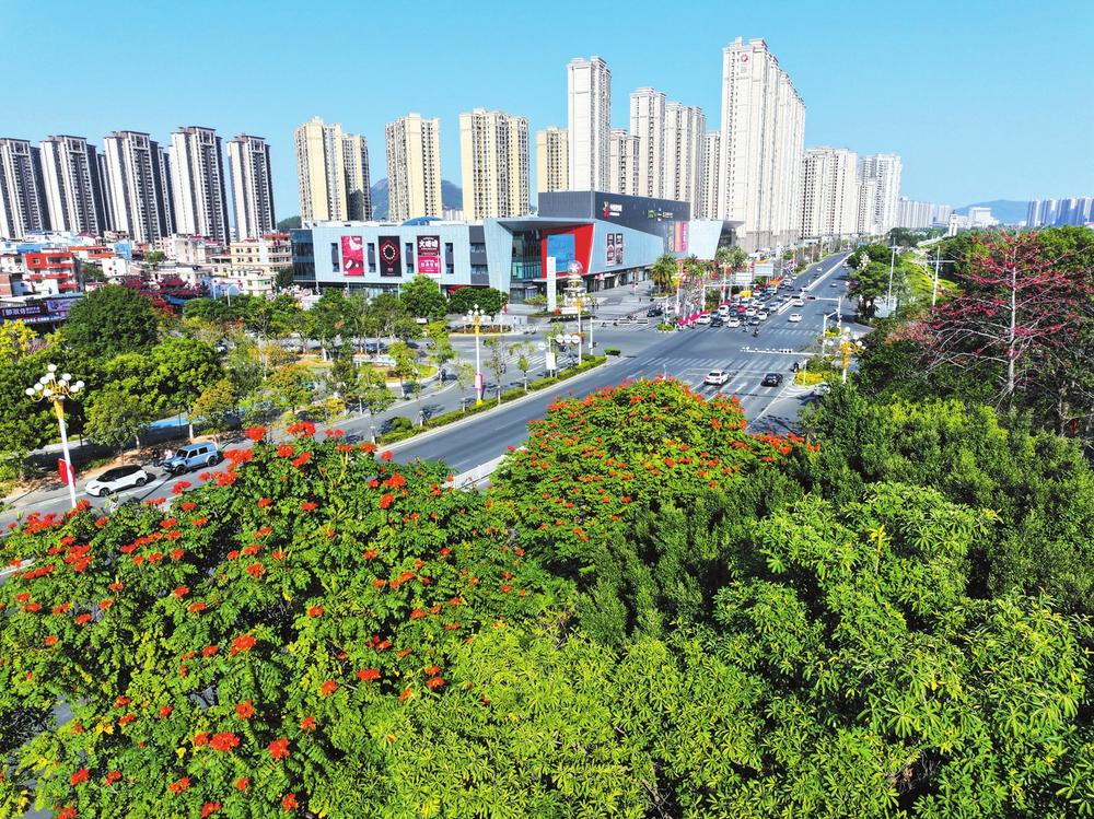 cf1e3a9e-cba8-4f6f-b1ae-a4cd5297e2a0.jpg (1)