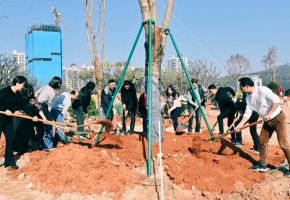 共植新綠，不負春光！南安開展全民義務植樹活動