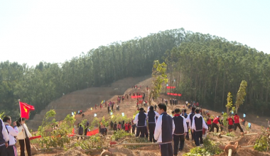 3��12��ֲ���� Ȫ����������һ�����ȵġ����ⱼ����