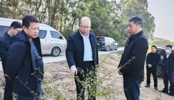 詔安縣主要領(lǐng)導(dǎo)督導(dǎo)推進(jìn)春耕備耕與生態(tài)保護(hù)工作