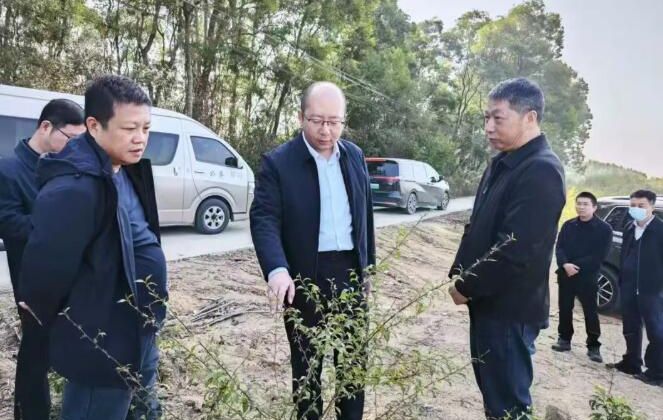 诏安县主要领导督导推进春耕备耕与生态保护工作