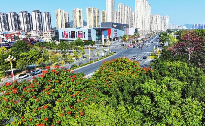 春风过处绿满南安