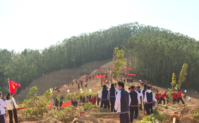 3月12日植树节 泉港这里上演一场火热的“绿意奔赴”