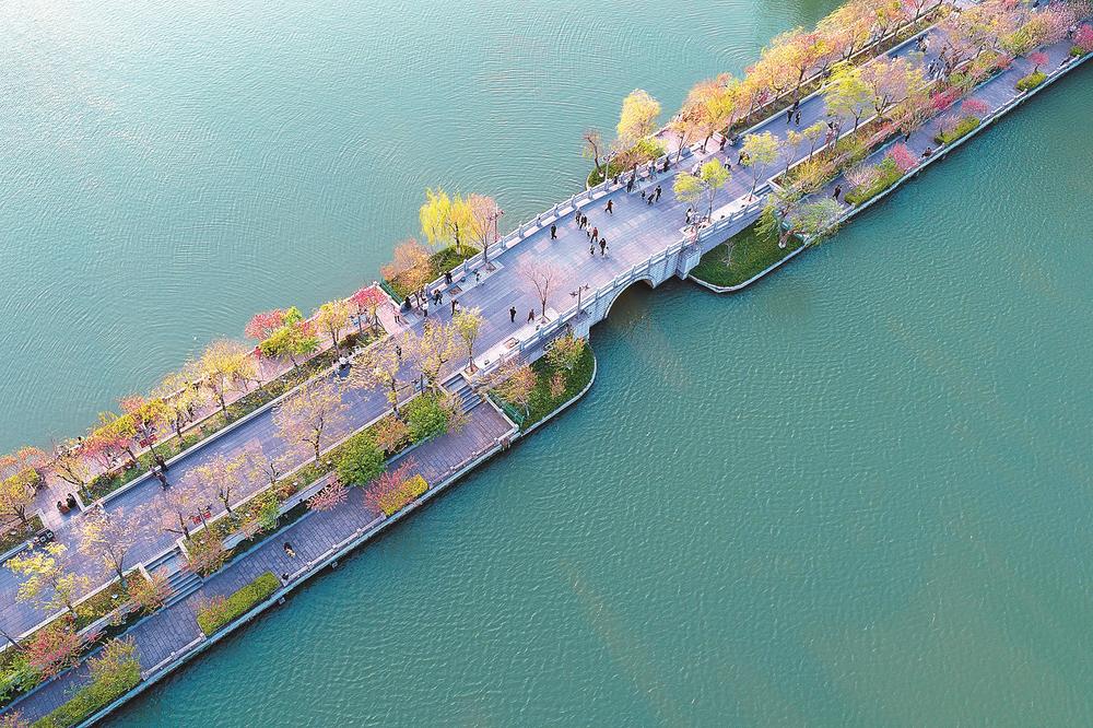 福州西湖 桃红柳绿  