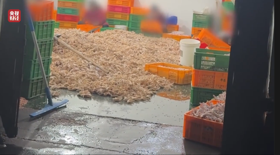 2026年“3·15晚会”曝光完整名单全记录