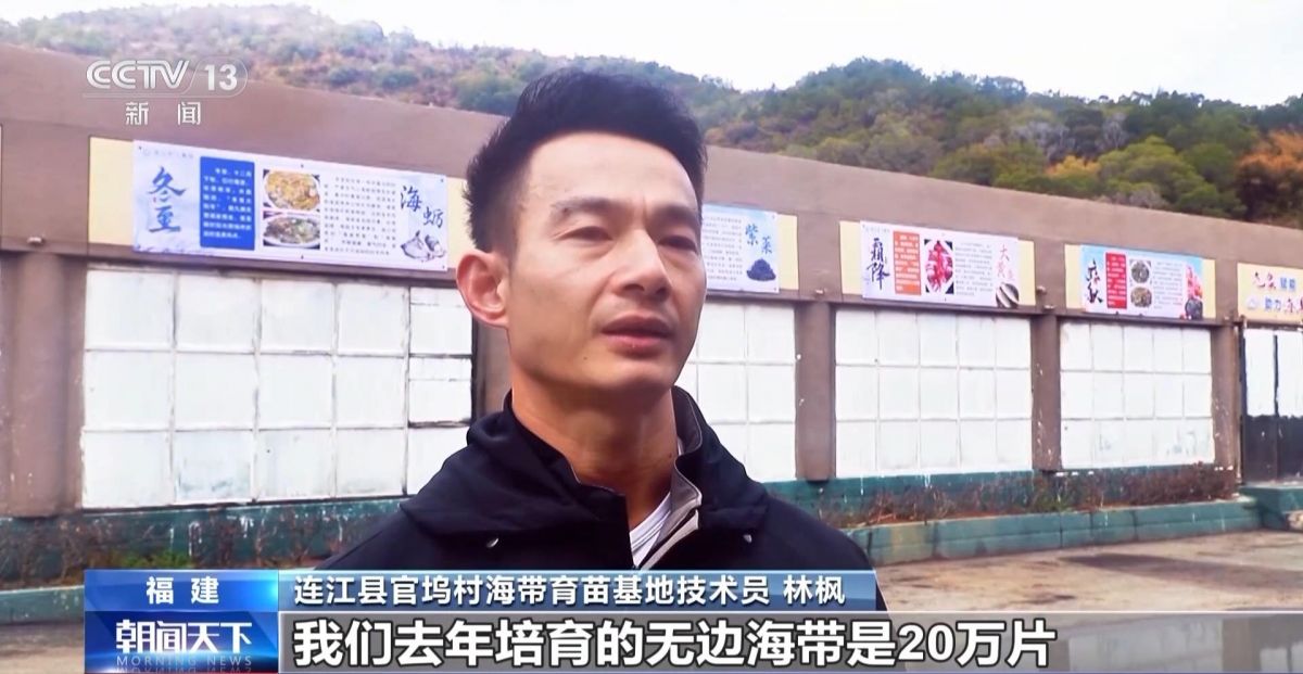 央视关注连江：&ldquo;无边海带&rdquo;丰收 良种攻关筑强&ldquo;蓝色粮仓&rdquo;