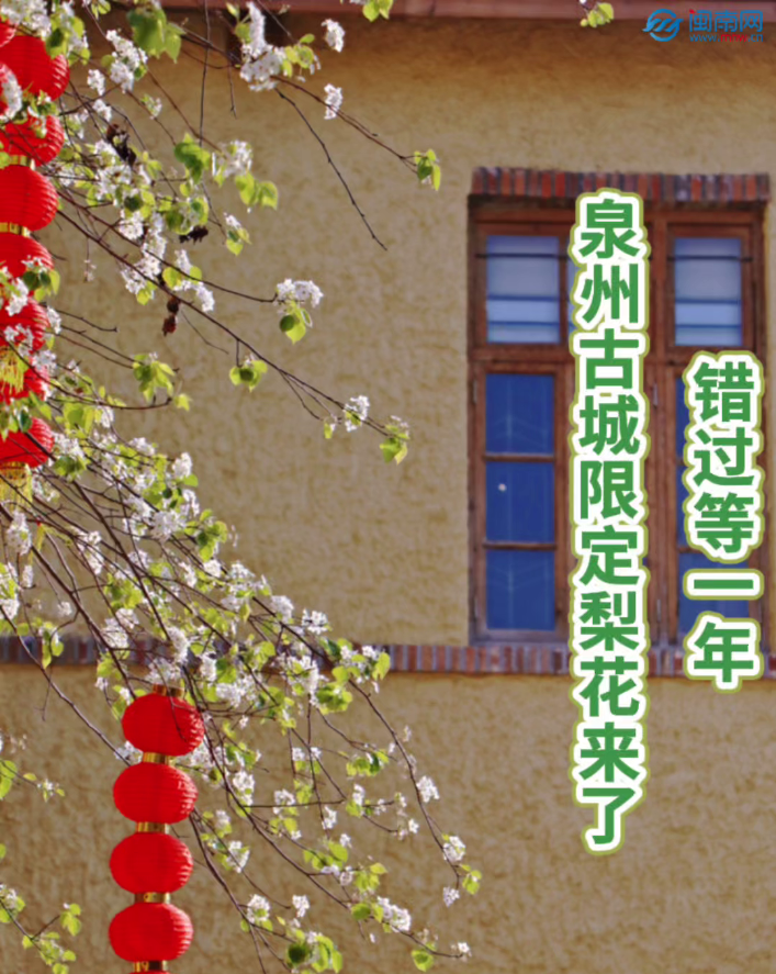 �����ٵ�һ�꣬����ȷ�ֱ�����ų��޶��滨����