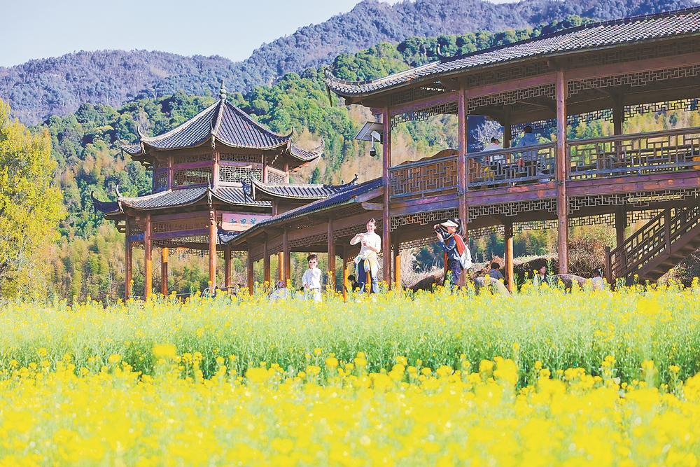 三明市建宁县濉溪镇油菜花开