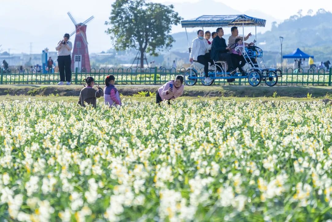 游人在水仙花海中休闲打卡(5480802)-20260317093408.jpg