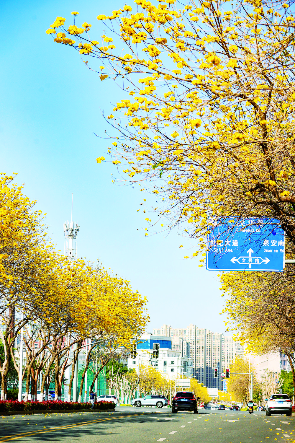 ed82ca12-8299-4a07-8a6c-e02c3b0e5558.jpg (1)