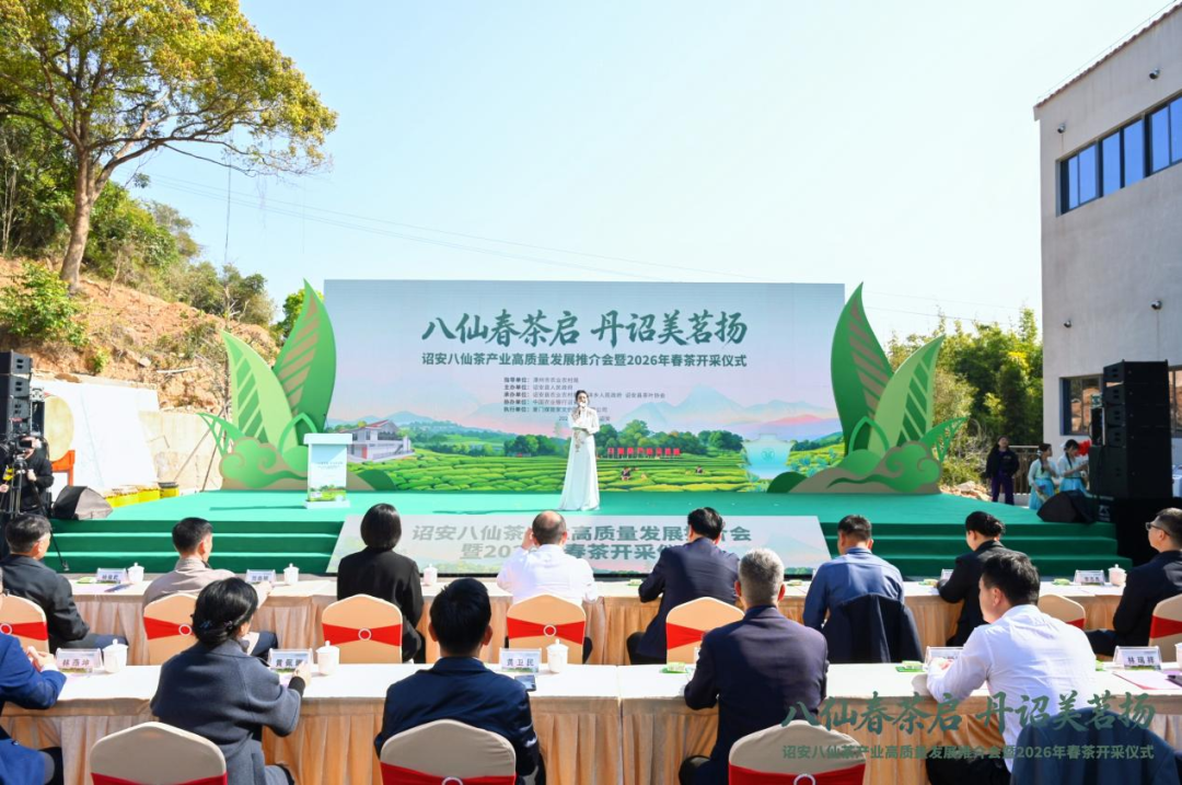 “八仙春茶启 丹诏美茗扬”诏安举办八仙茶产业高质量发展推介会暨2026年春茶开采仪式活动