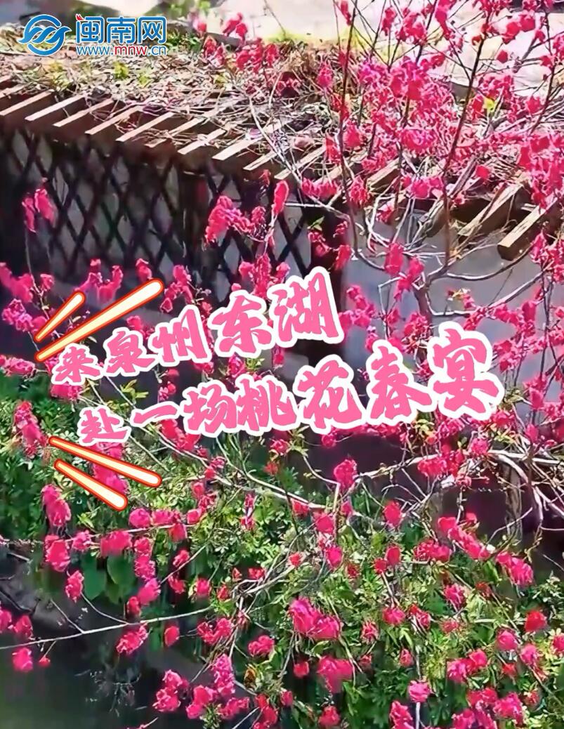 来泉州东湖，赴一场桃花春宴