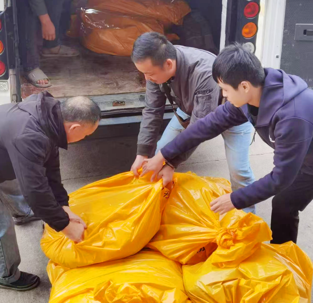 洛江区重拳整治私屠滥宰，守护群众“肉案子”安全