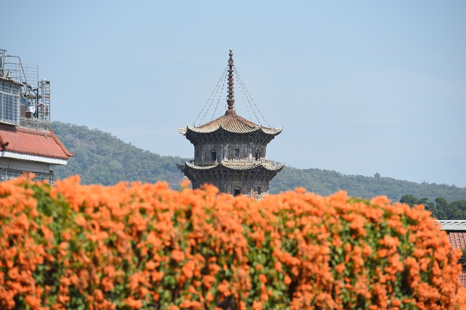 2026年春分+龙抬头祝福语文案 最新春分节气早安祝福句子