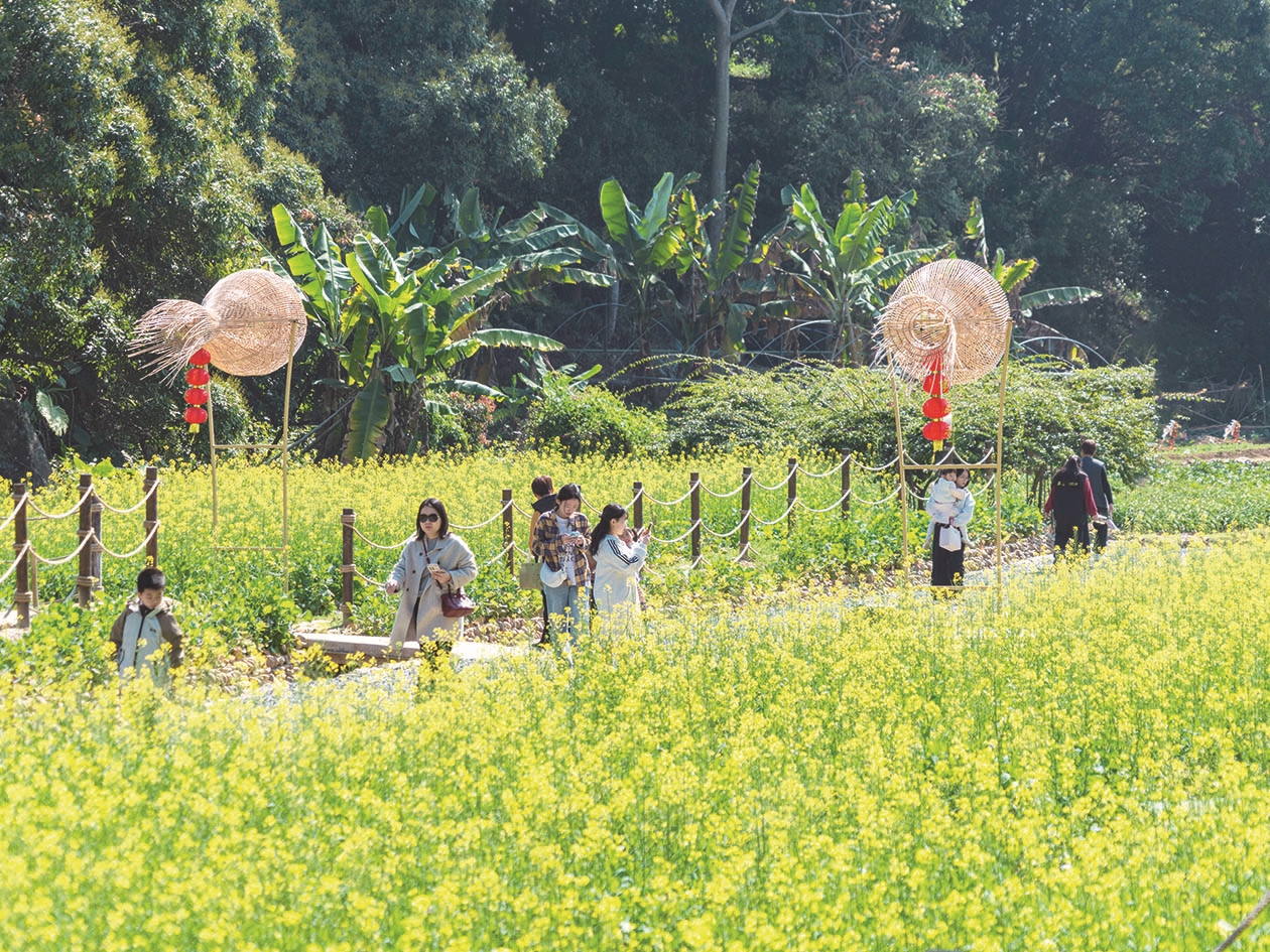 漳州圆山脚下春色浓 