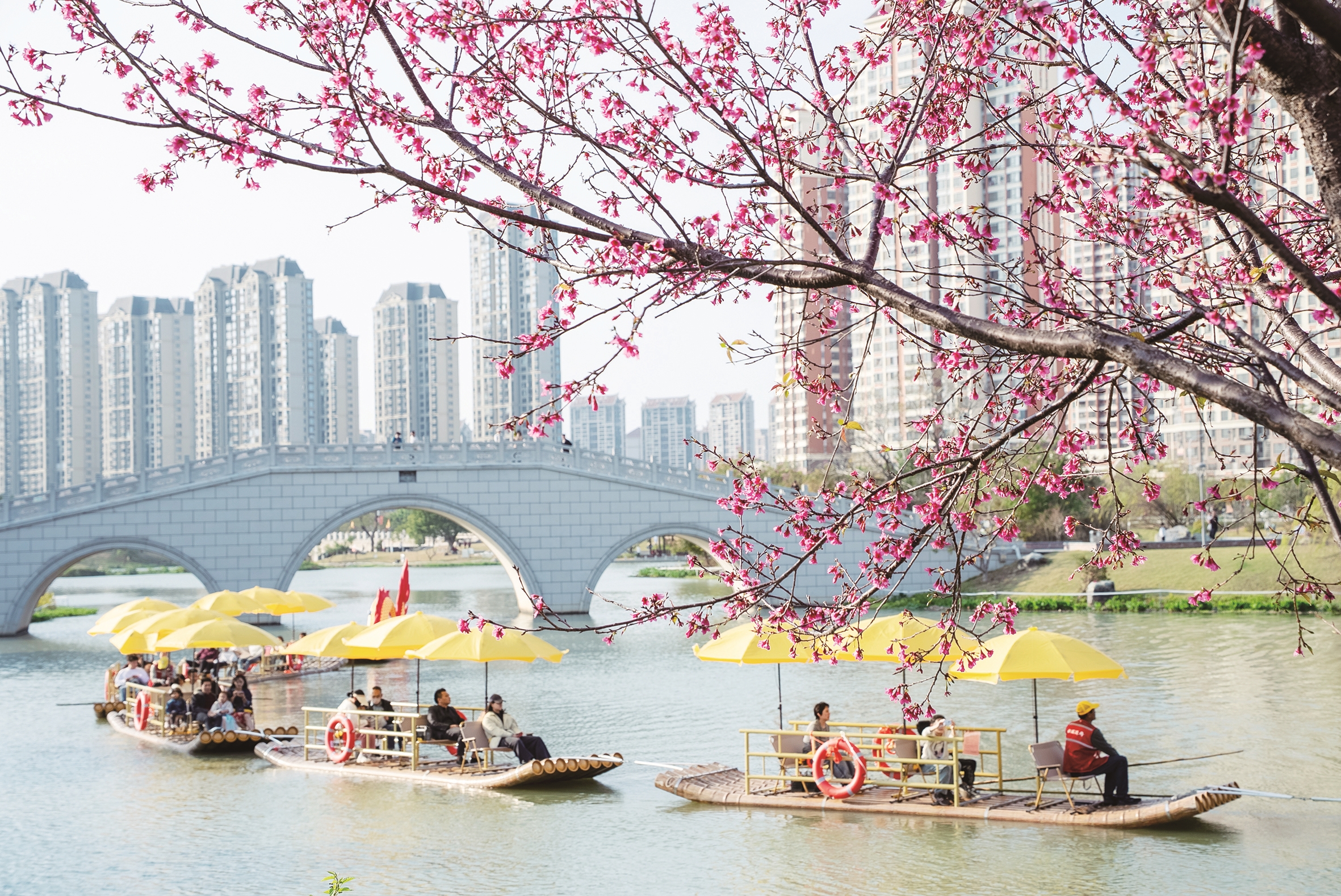 水乡泛舟 春日入画 