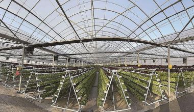 惠安：当好台农创业“服务生”