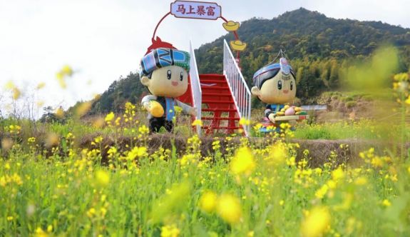 包出片！華安梯田鎏金醉春光