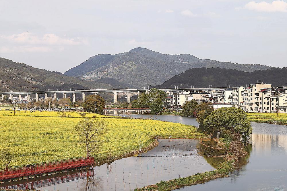 武夷山市兴田镇南岸村油菜花竞相开放