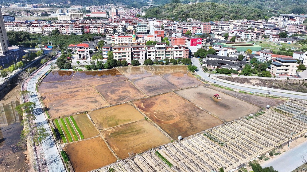 永春：春潮涌动田野新 春耕备耕正当时