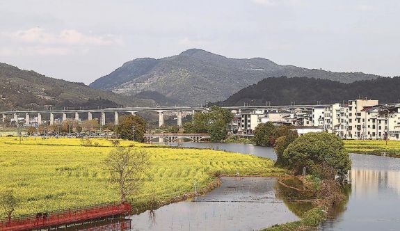 武夷山市興田鎮(zhèn)南岸村油菜花競相開放