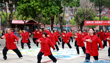华安爱尚太极队欢庆首个“国际太极拳日”