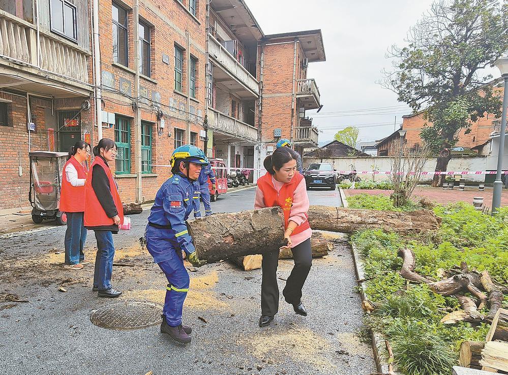 邵武：枯树压楼老人忧 志愿者热心排障