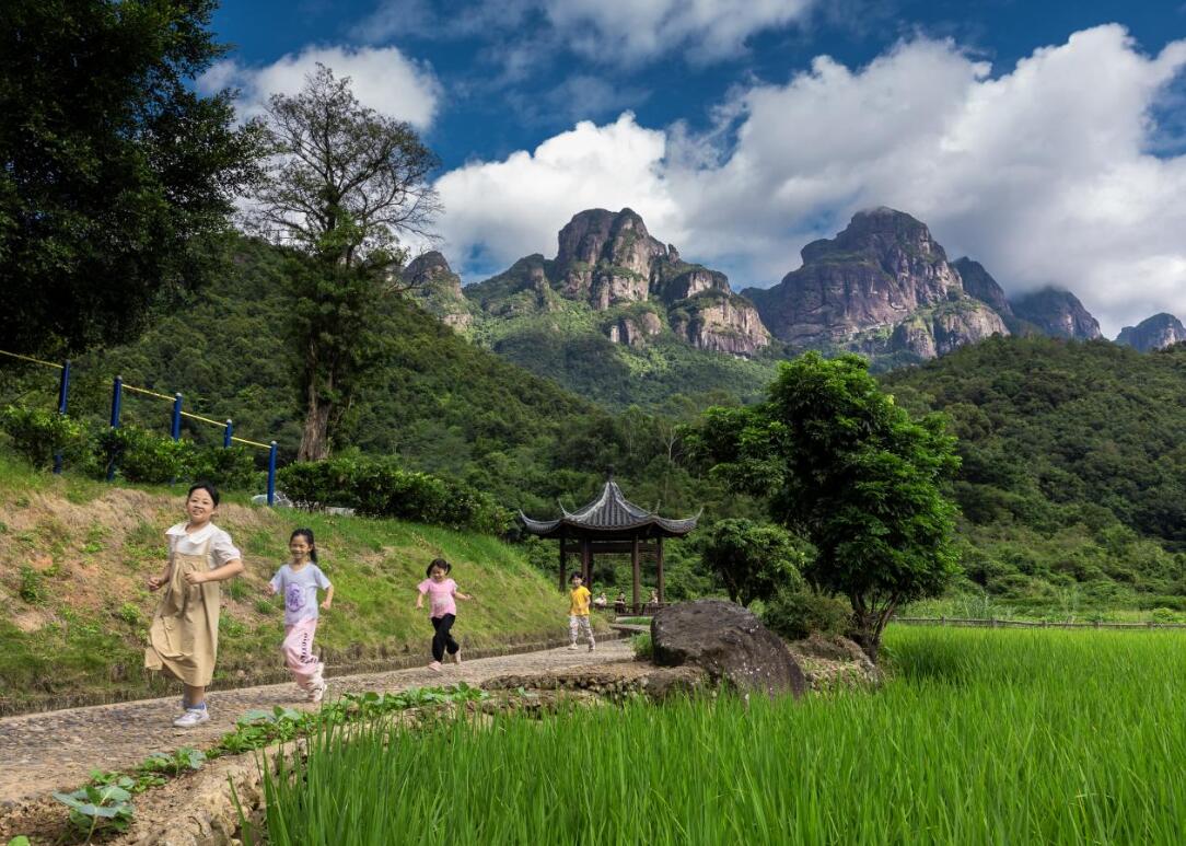 平和大溪：初春梯田绿意浓 孩童嬉戏绘新景