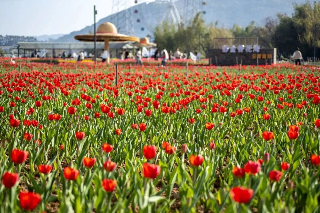 640?wx_fmt=jpeg&from=appmsg