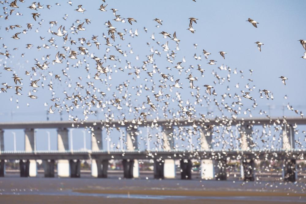 ea18dfbf-dfd9-49c0-ad61-9b73e7f6237a.jpg (1)