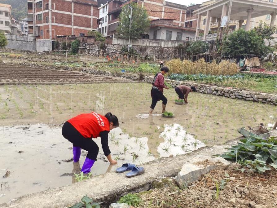 QQ截图20260325200241