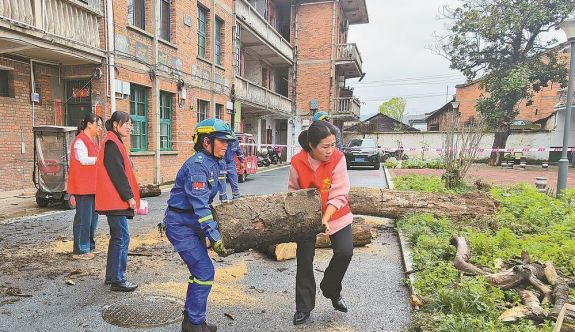 邵武：枯樹壓樓老人憂 志愿者熱心排障