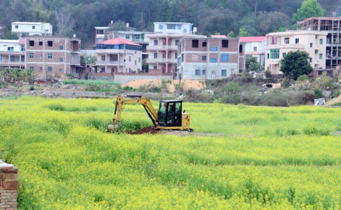 洛江：不负春光抢农时，田间地头备耕忙