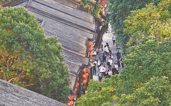 春天的回响丨守护坊巷间的城市文脉