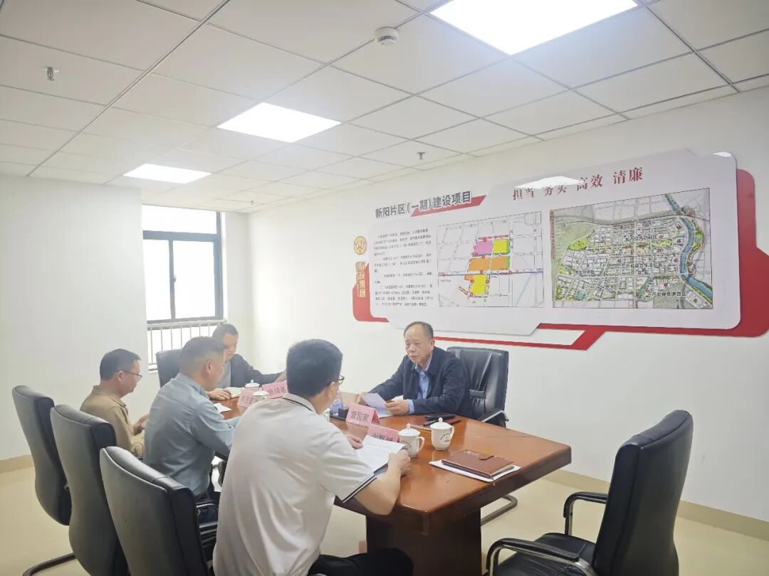 洛江区新阳片区项目工作专班部署推进会召开