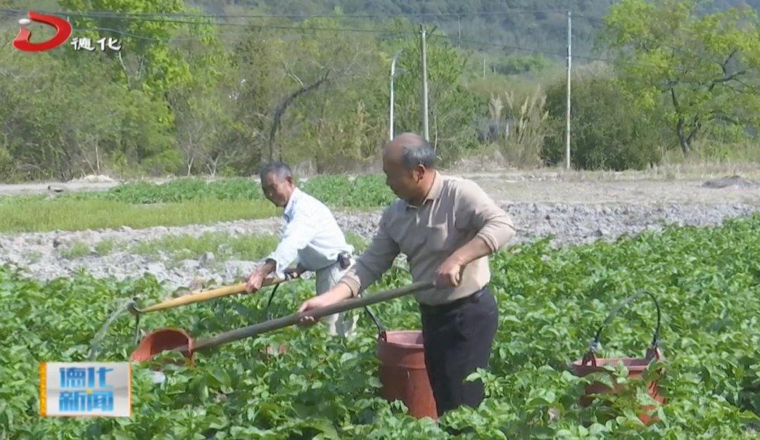 春耕正当时！德化这里田间地头一片繁忙，满屏都是生机！