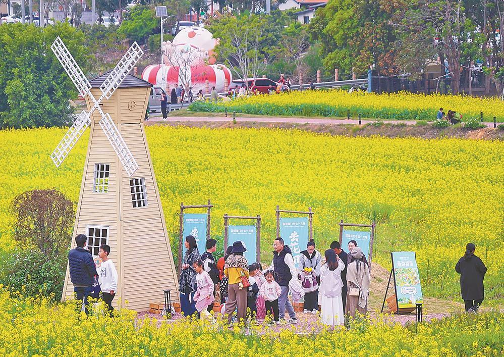 厦门：金色花海邂逅“田野学堂”