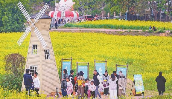 廈門：金色花海邂逅“田野學堂”
